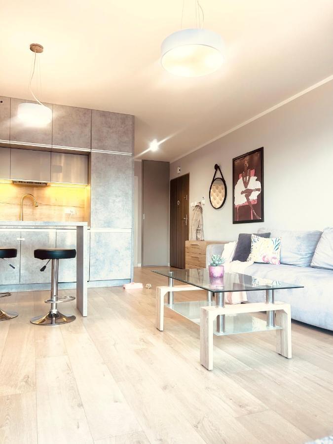 Downtownapartments Carrie Rzeszow