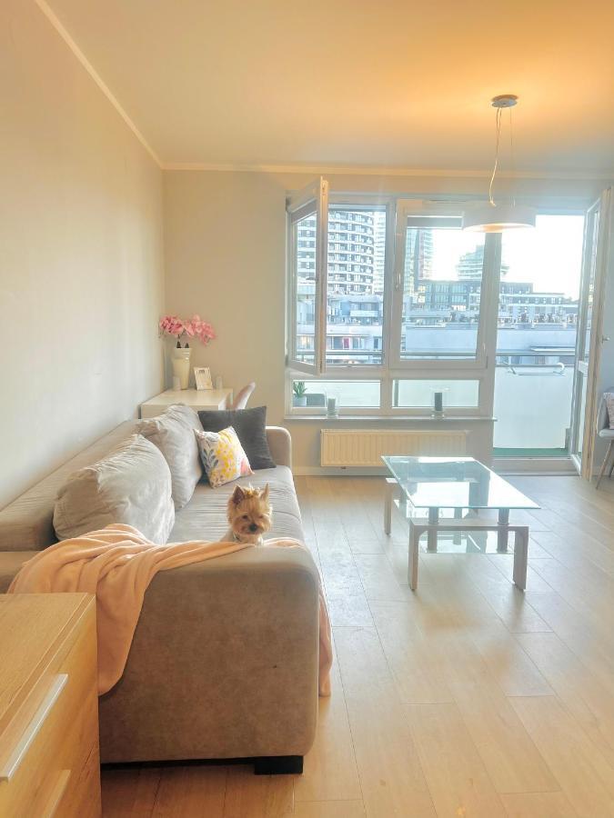 Downtownapartments Carrie * Rzeszow
