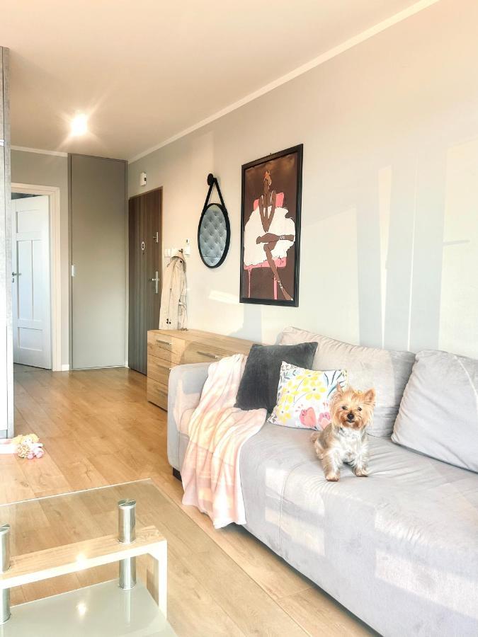 Apartment Downtownapartments Carrie *
